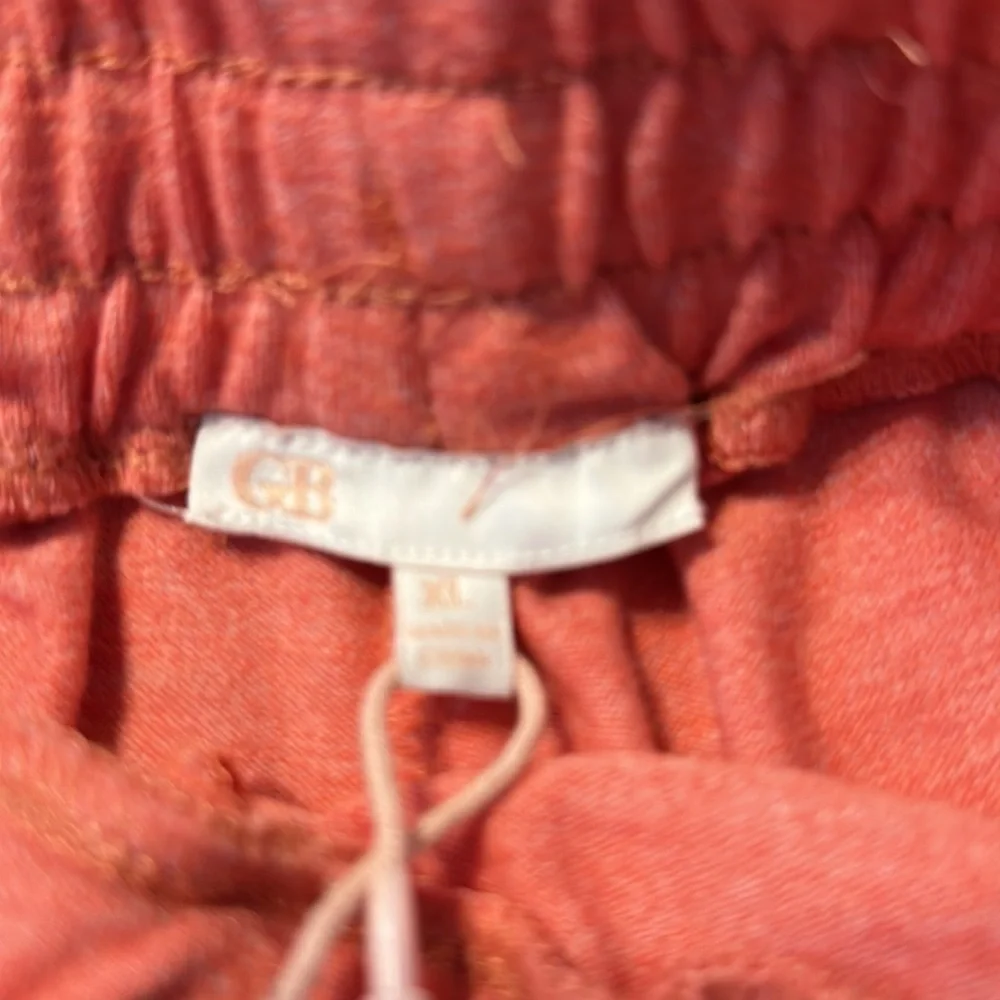 NWT GB shorts sz XL Giani Bernini